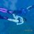 Shaliemar Yusingco Edera's profile image