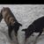 Pat Hatley Clawson's profile image
