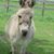 Tammy James's profile image