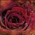 Trudy Yazzie's profile image