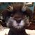 David Jacobson's profile image