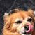 Michelle Frye's profile image