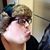 Tracie Leitner's profile image