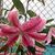Marjorie Cassidy's profile image