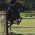 Julie Kibby's profile image