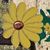 Marla Borokoff's profile image