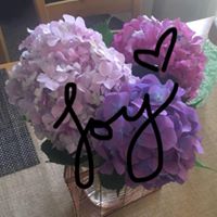 S.B. Hertzog's profile image