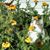 Cindie Gunderson's profile image