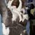 Patti Jean Kirkley's profile image