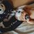 Lauren Sigg's profile image