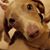 Teresa Martin's profile image