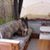Deb Murray's profile image