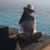 Alejandra Carnot's profile image