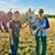 Shannon Dean Turci's profile image