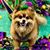 Dori Trahan Schexnayder's profile image
