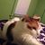 Karen Dolle's profile image