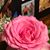 Cheryl Gilchrist's profile image