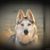 Lee Weldon's profile image