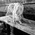 Harriet Aduba's profile image
