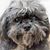 Joseph Detrick's profile image