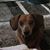 Denise Hunter's profile image