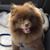 Laura Schrier Bieniek's profile image
