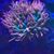David Allen Munger's profile image