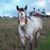 Lisa Powers's profile image