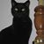 Mary Frambes's profile image