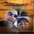David Kelley's profile image