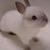 Claire Gonselin's profile image