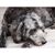 Kristi Bennett Murray's profile image