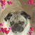Debbie Chambers's profile image