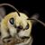 Sunny A Bee's profile image
