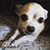 DaveandKris GomezRogers's profile image
