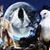 Dan Swierat's profile image