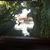 Doug Stiller's profile image