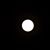 Andi Dehghani's profile image