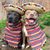Janice Trzeciak's profile image