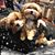 Suzanne Van Ostenburg Griffiths's profile image