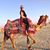 Karen Greig's profile image