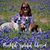 Diane Holt Smedley's profile image