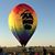 Lisa Harvey Snyder's profile image