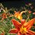 Leann Troutman's profile image