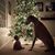 Karen DiPinto's profile image