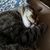 Michelle Pennington-Pugh's profile image