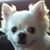 Julia Gary Maturin's profile image