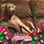 Jane Odum's profile image
