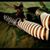 Bobbi M. Gostomski's profile image
