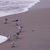 Sue Orndorff's profile image